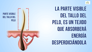 La parte visible del pelo desperdicia energia