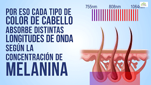 Cada Tipo de Cabello absorbe distinta longitud de Onda