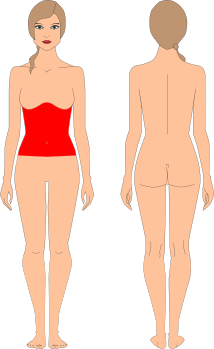 Abdomen