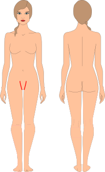 Bikini