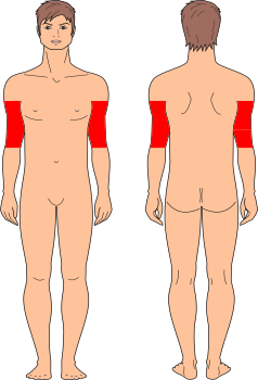 Brazos