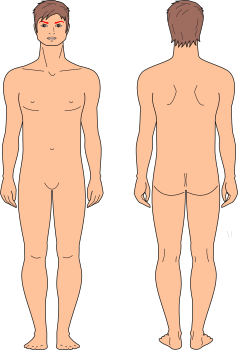Cejas