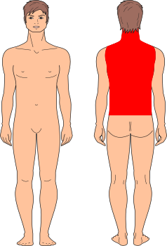 EspaldaCompleta