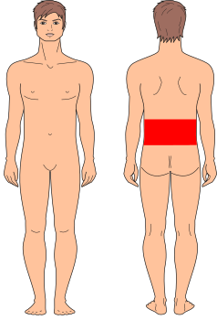 Espalda Inferior